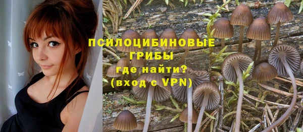 индика Нея