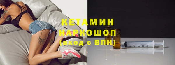 индика Нея